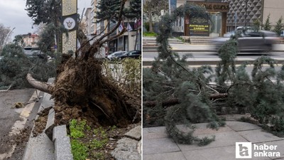 Çankaya'da park halindeki aracın üzerine ağaç devrildi