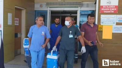 Organlarıyla Bursa ve Ankara'da 4 kişiye umut oldu