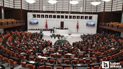 Doğum izni ve sosyal medya düzenlemesi Meclis'te görüşülecek
