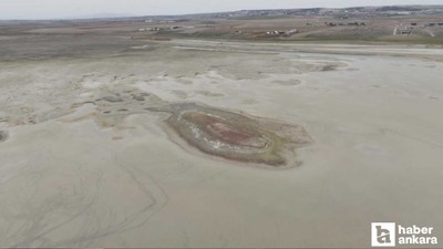 Ankara'da allı turnaların yuvasıydı: Kuraklık vurdu, yok oldu!