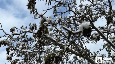 Çorum için zirai don uyarısı geldi!