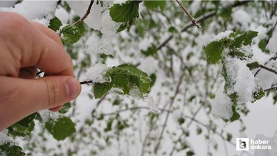 Çiftçilere üst üste zirai don uyarıları yapılıyor