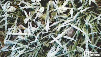 Üreticilere zirai don uyarısı yapıldı