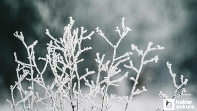 Ankara Valiliği uyardı: Zirai don riski bu gece başlıyor!
