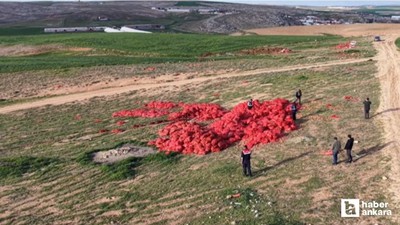 Ticaret Bakanlığı, Polatlı’da boş araziye dökülen soğanlar için harekete geçti