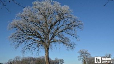 Ankara Valiliğinden bu gece için zirai don uyarısı!