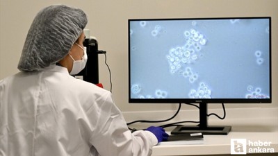 Etlik Şehir Hastanesi’nde kan kanseri hastalarına yönelik hücre tedavisi!