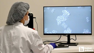 Kan kanseri tedavisinde yeni umut: Hücre tedavisi dönemi start aldı