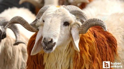 Vekalet yoluyla kurban kesim ücretleri açıklandı