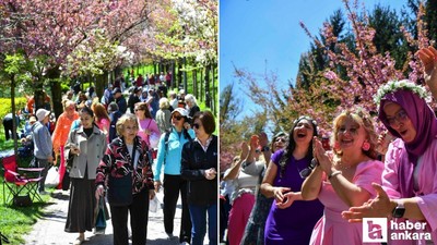 Başkentli kadınlar Sakura Şenliği'ne katıldı