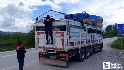Amasya'dan Ankara'ya gelen kurbanlıklar denetlendi