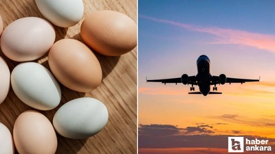 Nisan ayında fiyatın en çok arttığı ve ucuzladığı ürünler açıklandı