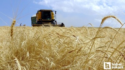 Tarımsal destekleme ödemesi bugün hesaplara yatırılacak