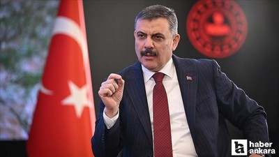Bakan Çiftçi: 'Hayvanların yeri sokaklar değil barınaklardır'