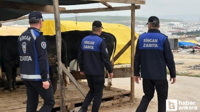 Sincan Belediyesi kurban pazarlarını denetlemeye devam ediyor!