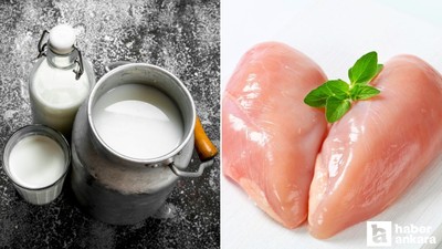 Tavuk eti üretimi ve toplanan inek sütü rakamları açıklandı