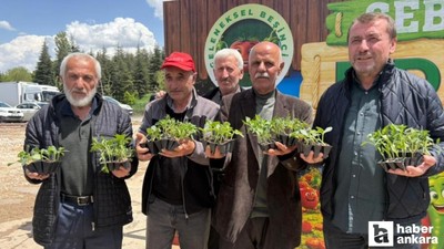 Pursaklar'da 5. Geleneksel Ata Tohumu Fidesi dağıtımı yapıldı!