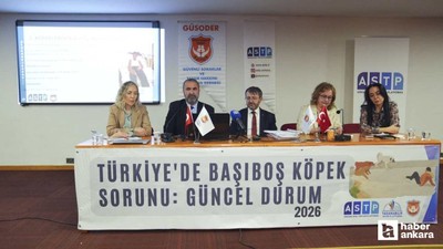 Başıboş köpek meselesi hakkında Ankara'da panel düzenlendi