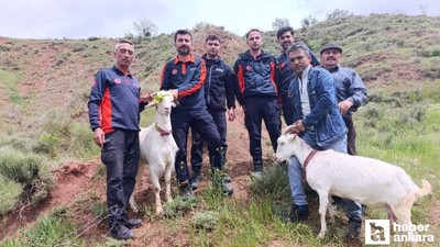 Nallıhan'da 2 gündür kayalıkta mahsur kalan 2 keçi kurtarıldı