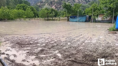 Nallıhan'da Nallı Çayı taştı: Bazı bahçeler su altında kaldı
