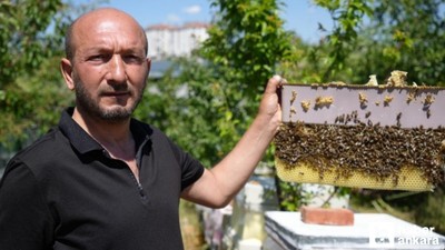 Başkentte bir arıcı 5 yıldır arılara korkmadan temas ediyor