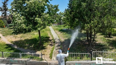 Etimesgut Belediyesi ilçe genelinde ilaçlama seferberliği başlattı!