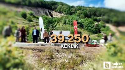 51 bin keklik ve sülün doğaya salınıyor: Kene ve kahverengi kokarcaya karşı doğal mücadele!