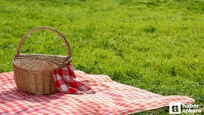 Beypazarı'nda piknik alanlarında denetimler hız kazanacak