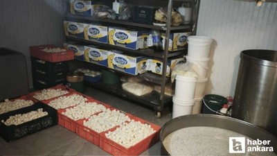 Altındağ'da 9 ton bozuk süt ve süt ürünü ele geçirildi