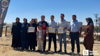1.600 üreticiye 160 bin küçükbaş hayvan verilecek