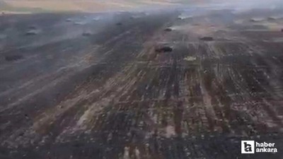 Çorum'da çıkan yangında 150 dekarı buğday ekili olmak üzere 300 dekar arazi zarar gördü