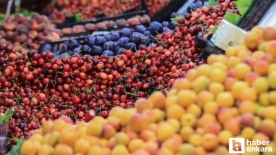 Haziran ayında fiyatı en çok artan ve azalan ürünler açıklandı