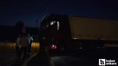 Beypazarı-Ankara yolunda köpek sürüsü kazaya neden oldu!