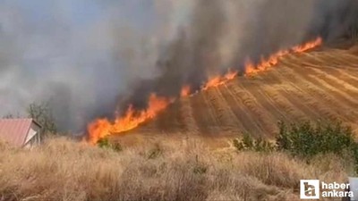 Beypazarı'nda yangın paniği: Ekili tarım arazisi alev aldı!