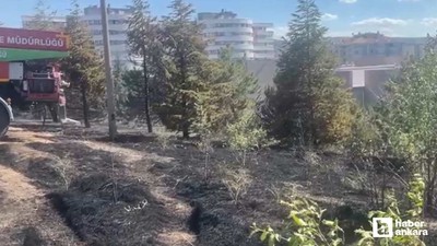 Çankaya'da arazide çıkan yangını itfaiye söndürdü