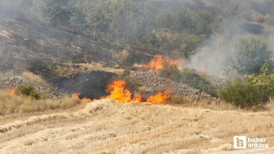 Beypazarı'nda çıkan yangında 50 dönüm buğday tarlası zarar gördü