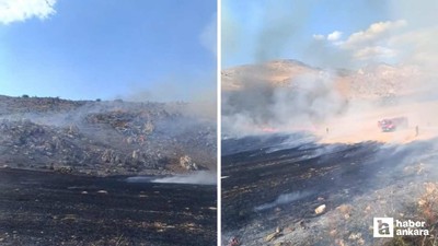 Nallıhan'da otluk alanda çıkan yangını itfaiye söndürdü