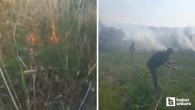 Beypazarı'nda ağaçlık alanda çıkan yangına itfaiye müdahale etti