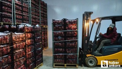 TKDK açıkladı: Ankara'da 28 soğuk hava deposu var!