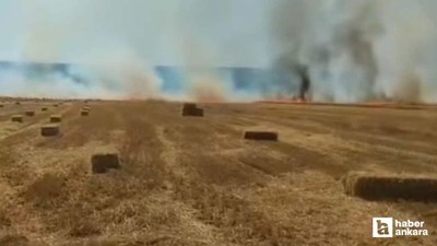 Nallıhan'da tarla yangınında geniş bir tarım arazisi zarar gördü