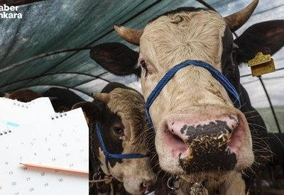 Kurban Bayramı tatili belli oldu mu, 9 gün mü olacak?