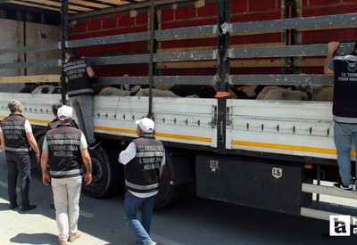 Kırıkkale'de kurbanlık taşıyan araçlara denetim yapıldı
