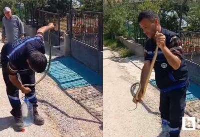 Ankara Akyurt'ta görevlinin yılan yakalarken ki rahatlığı görenleri hayrete düşürdü