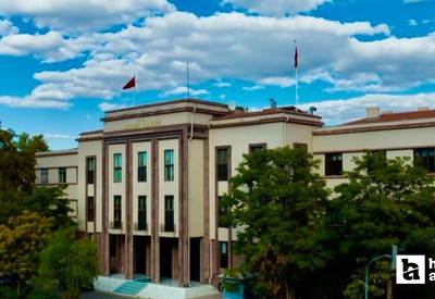 Ankara Valiliği şehre getirilen hastalıklı köpeklerin yakalandığını duyurdu