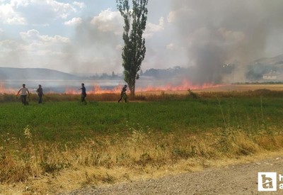 Sivas'ta anız yangını! 200 saman balyası küle döndü