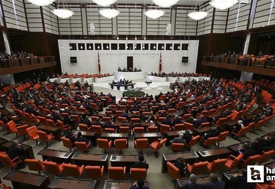 Başıboş sokak hayvanları konusu TBMM'de: Kediler salınacak, köpekler tutulacak