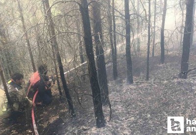 Ankara Çamlıdere’deki ot yangını ormanlık alana sıçradı