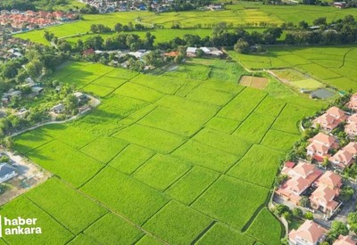 TOKİ Ankara'da Etimesgut, Gölbaşı ve Mamak ilçelerinde açık artırmayla arsa satacak