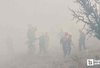 Bolu'da orman yangını tekrar alevlendi