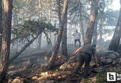 Ankara Beypazarı'nda çıkan orman yangını kontrol altına alındı